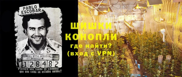 соль курить ск Белокуриха